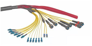 印媒：中方若发动电磁攻击将团灭美航母摧毁美东海岸9成人口(图1)